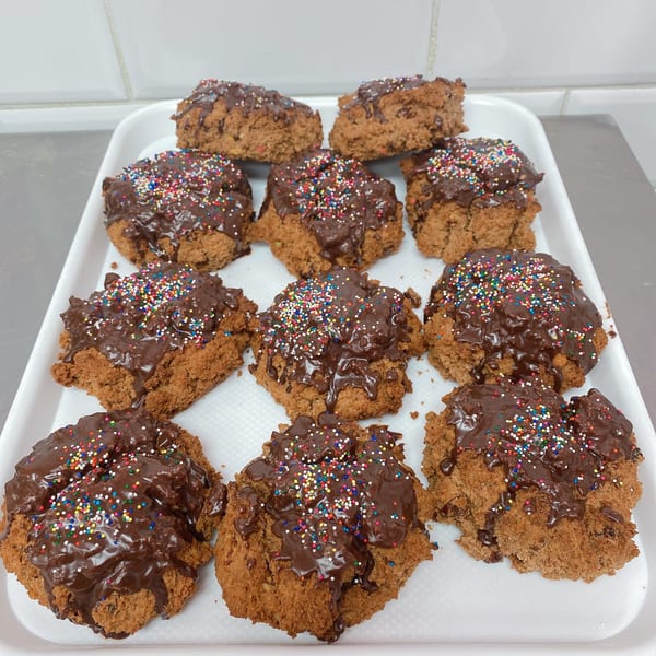 Brown cookies topped with chocolate frosting and colorful sprinkles on a white tray.